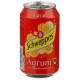 SCHWEPPES AGRUM 24X33CL